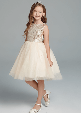 Toddlers Tutu Dress Pageant Flower Girl Dress Sleeveless Birthday Party Dress